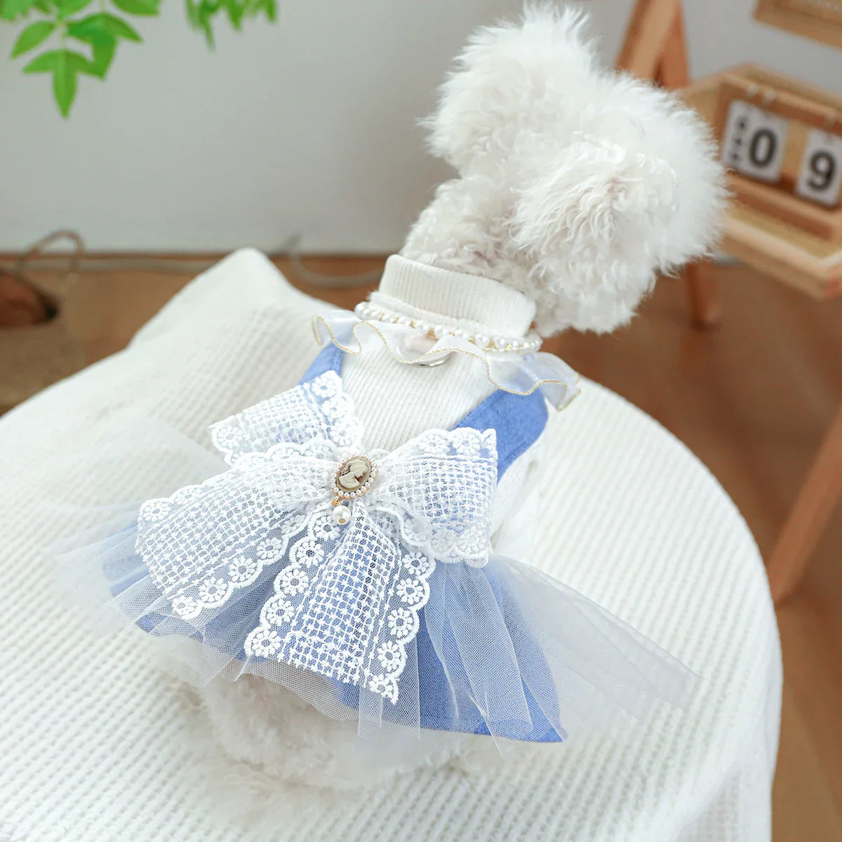 1PC Pet Apparel Dog Spring and Autumn Blue Bow Pendant Lace Princess Dress With Drawstring Buckle For Small Medium Dogs