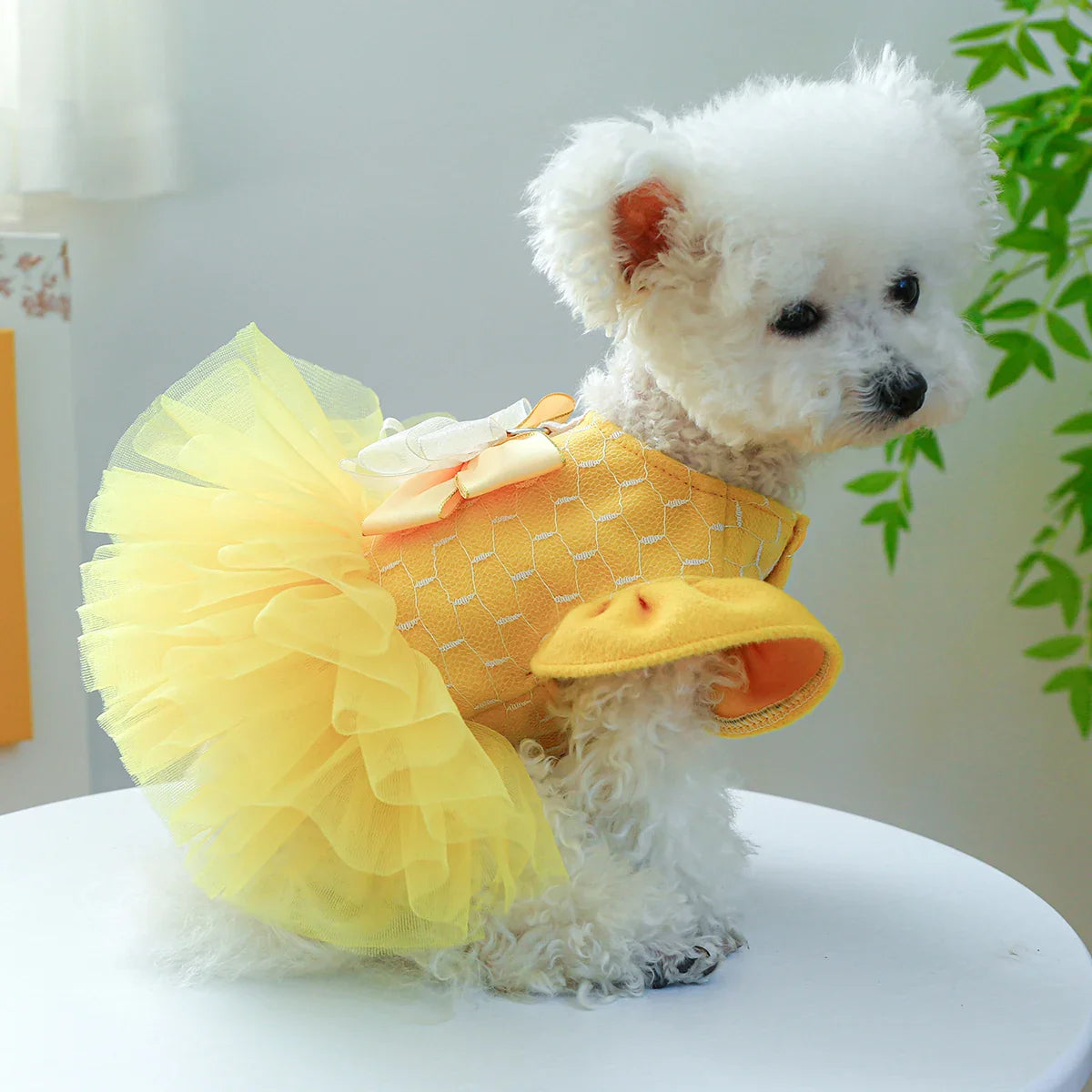 1PC Pet Apparel Dog Autumn and Winter Yellow Flying Sleeve Bow Princess Dress With Drawstring Buckle For Small Medium Dogs