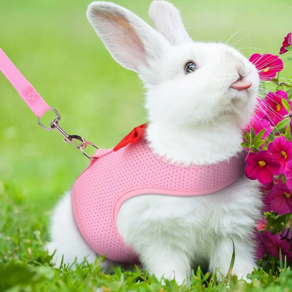 2pcs Pet Accessories Soft Rabbit Harness and Leash Set No Pull Mesh Pet Harness Adjustable Portable Pet Chest Strap Hamsters